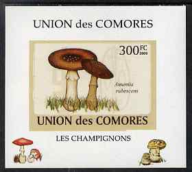 Comoro Islands 2009 Fungi #4 - 300 FC individual imperf deluxe sheet unmounted mint. Note this item is privately produced and is offered purely on its thematic appeal, it..., stamps on fungi