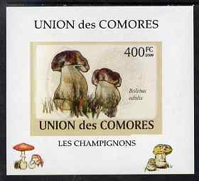 Comoro Islands 2009 Fungi #5 - 400 FC individual imperf deluxe sheet unmounted mint. Note this item is privately produced and is offered purely on its thematic appeal, it has no postal validity, stamps on , stamps on  stamps on fungi