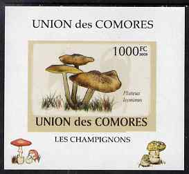 Comoro Islands 2009 Fungi #6 - 1000 FC individual imperf deluxe sheet unmounted mint. Note this item is privately produced and is offered purely on its thematic appeal, i..., stamps on fungi