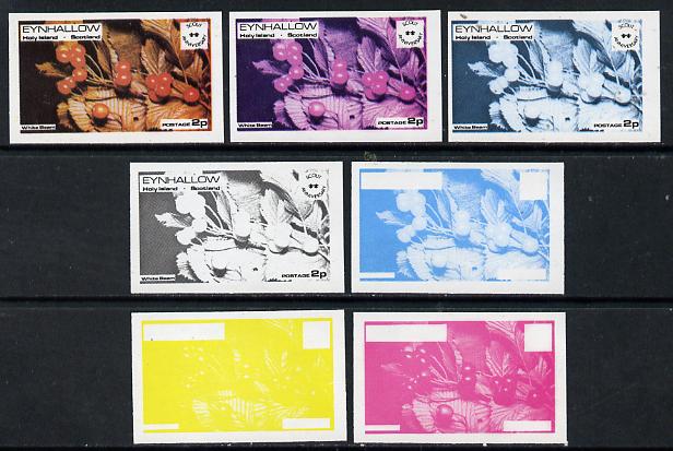 Eynhallow 1974 Fruit (Scout Anniversary) 2p (White Bearn) set of 7 imperf progressive colour proofs comprising the 4 individual colours plus 2, 3 and all 4-colour composi...