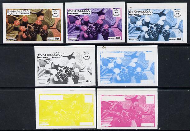 Eynhallow 1974 Fruit (Scout Anniversary) 6p (Blackberry) set of 7 imperf progressive colour proofs comprising the 4 individual colours plus 2, 3 and all 4-colour composites unmounted mint, stamps on , stamps on  stamps on fruit      scouts