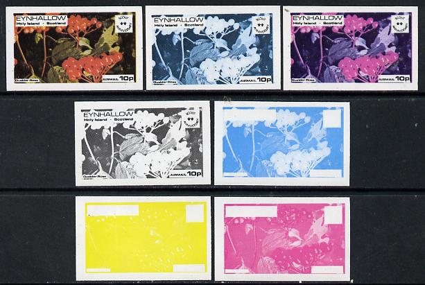 Eynhallow 1974 Fruit (Scout Anniversary) 10p (Guelder Rose) set of 7 imperf progressive colour proofs comprising the 4 individual colours plus 2, 3 and all 4-colour composites unmounted mint