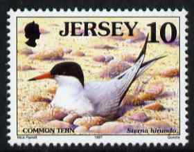 Jersey 1997-99 Seabirds & Waders 10p Common Tern unmounted mint SG 778, stamps on birds