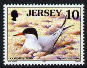 Jersey 1997-99 Seabirds & Waders 10p Common Tern unmounted mint SG 778, stamps on , stamps on  stamps on birds