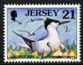 Jersey 1997-99 Seabirds & Waders 21p Sandwich Tern unmounted mint SG 781, stamps on , stamps on  stamps on birds