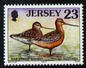 Jersey 1997-99 Seabirds & Waders 23p Bar-tailed Godwit unmounted mint SG 783, stamps on birds