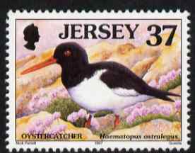 Jersey 1997-99 Seabirds & Waders 37p Oystercatcher unmounted mint SG 796, stamps on birds