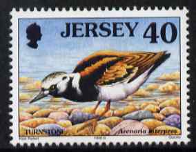 Jersey 1997-99 Seabirds & Waders 40p Ruddy Turnstone 40p unmounted mint SG 797, stamps on , stamps on  stamps on birds