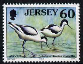 Jersey 1997-99 Seabirds & Waders 60p Pied Avocet unmounted mint SG 801, stamps on birds