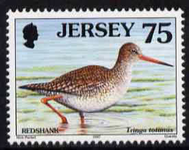 Jersey 1997-99 Seabirds & Waders 75p Common Redshank unmounted mint SG 803, stamps on birds