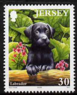 Jersey 2003 Black Labrador Puppy 30p from Pets set unmounted mint, SG 1113