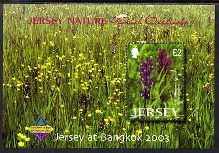 Jersey 2003 Wild Orchids perf m/sheet for Bangkok 2003 Stamp Exhibition unmounted mint, SG MS1118, stamps on , stamps on  stamps on flowers, stamps on  stamps on orchids