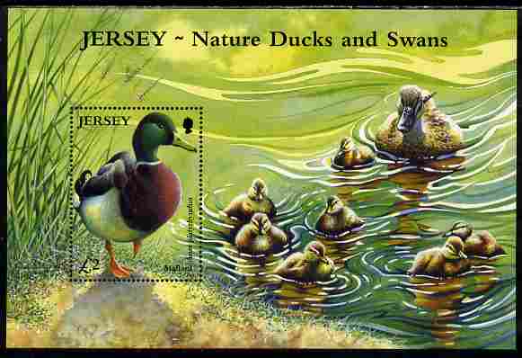 Jersey 2004 Ducks & Swans perf m/sheet unmounted mint, SG MS1142, stamps on birds, stamps on ducks