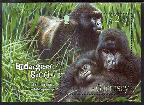 Guernsey 2007 Endangered Species (4th series) Mountain Gorillas perf m/sheet unmounted mint, SG MS1173, stamps on animals, stamps on apes, stamps on gorillas