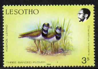 Lesotho 1988 Birds 3s Plover minor colour shift resulting in two birds unmounted mint  SG 792var (not so pronounced as #57289), stamps on , stamps on  stamps on birds