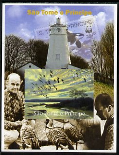 St Thomas & Prince Islands 2004 WWF & Sir Peter Scott #5 imperf s/sheet with Lighthouse in background unmounted mint. Note this item is privately produced and is offered purely on its thematic appeal, stamps on , stamps on  stamps on personalities, stamps on  stamps on lighthouses, stamps on  stamps on  wwf , stamps on  stamps on stamponstamp, stamps on  stamps on stamp on stamp, stamps on  stamps on whales, stamps on  stamps on birds