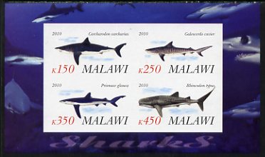 Malawi 2010 Sharks imperf sheetlet containing 4 values unmounted mint, stamps on , stamps on  stamps on fish, stamps on  stamps on sharks