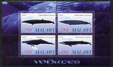 Malawi 2010 Whales perf sheetlet containing 4 values unmounted mint, stamps on , stamps on  stamps on marine life, stamps on  stamps on whales