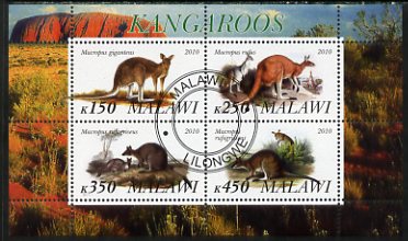 Malawi 2010 Kangaroos perf sheetlet containing 4 values fine cto used, stamps on mammals, stamps on kangaroos