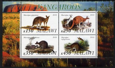 Malawi 2010 Kangaroos perf sheetlet containing 4 values unmounted mint, stamps on mammals, stamps on kangaroos