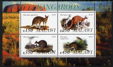 Malawi 2010 Kangaroos perf sheetlet containing 4 values unmounted mint, stamps on , stamps on  stamps on mammals, stamps on  stamps on kangaroos