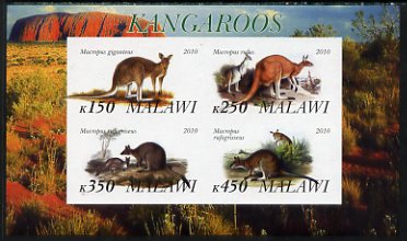 Malawi 2010 Kangaroos imperf sheetlet containing 4 values unmounted mint, stamps on , stamps on  stamps on mammals, stamps on  stamps on kangaroos