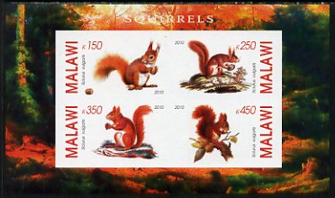 Malawi 2010 Squirrels imperf sheetlet containing 4 values unmounted mint, stamps on , stamps on  stamps on animals, stamps on  stamps on squirrels