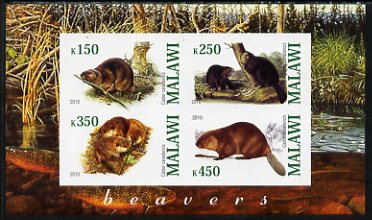 Malawi 2010 Beavers imperf sheetlet containing 4 values unmounted mint, stamps on , stamps on  stamps on animals, stamps on  stamps on beavers