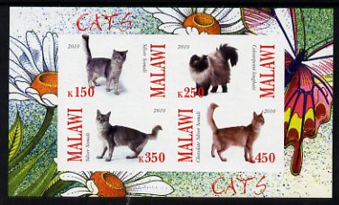 Malawi 2010 Domestic Cats imperf sheetlet containing 4 values unmounted mint, stamps on , stamps on  stamps on animals, stamps on  stamps on cats