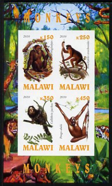 Malawi 2010 Monkeys imperf sheetlet containing 4 values unmounted mint, stamps on , stamps on  stamps on animals, stamps on  stamps on monkeys, stamps on  stamps on apes