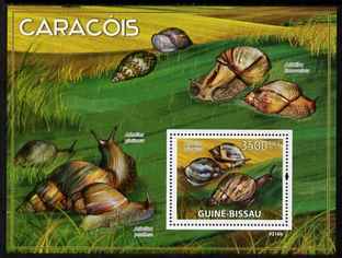 Guinea - Bissau 2009 Snails of Africa perf s/sheet unmounted mint Michel BL 690, stamps on , stamps on  stamps on shells