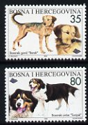 Bosnia & Herzegovina 1996 Dogs set of 2 (Barak & Tornjak) unmounted mint, SG 507-08, stamps on , stamps on  stamps on animals, stamps on  stamps on dogs