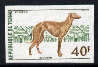 Chad 1972 Saluki Hound 40f IMPERF, unmounted mint, as SG 379, stamps on , stamps on  stamps on animals, stamps on  stamps on dogs