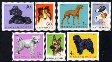 Hungary 1967 Dogs perf set of 7 unmounted mint, SG 2289-95, stamps on , stamps on  stamps on dogs, stamps on  stamps on poodle, stamps on  stamps on collie, stamps on  stamps on pointer, stamps on  stamps on terrier, stamps on  stamps on  gsd , stamps on  stamps on puli