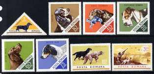 Rumania 1965 Hunting Dogs set unmounted mint, SG 3337-44, stamps on , stamps on  stamps on dogs, stamps on  stamps on terrier, stamps on  stamps on setter, stamps on  stamps on pointer, stamps on  stamps on spaniel, stamps on  stamps on retriever, stamps on  stamps on 