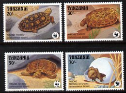 Tanzania 1993 Endangered Species - Pancake Tortoise set of 4 unmounted mint, SG 1536-39, stamps on , stamps on  stamps on animals, stamps on  stamps on reptiles, stamps on  stamps on tortoise