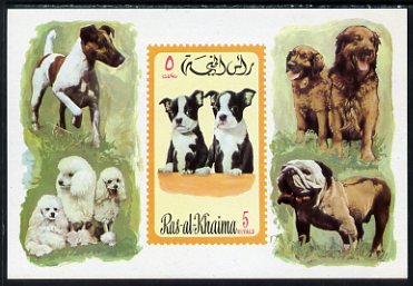 Ras Al Khaima 1971 Dogs 5R imperf miniature sheet, unmounted mint, Mi Bl 104, stamps on , stamps on  stamps on dogs, stamps on  stamps on poodle, stamps on  stamps on bulldog, stamps on  stamps on retriever, stamps on  stamps on jack russell