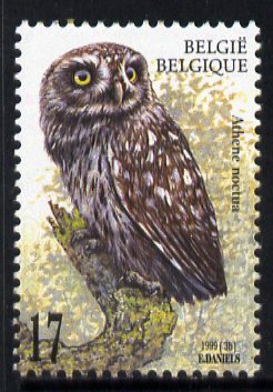 Belgium 1999 Little Owl (Athene noctua) 17f unmounted mint SG 3478, stamps on , stamps on  stamps on birds, stamps on  stamps on birds of prey, stamps on  stamps on owls