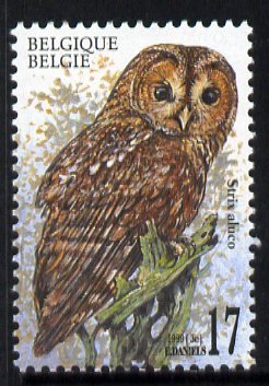 Belgium 1999 Tawny Owl (Strix aluco) 17f unmounted mint SG 3479, stamps on , stamps on  stamps on birds, stamps on  stamps on birds of prey, stamps on  stamps on owls