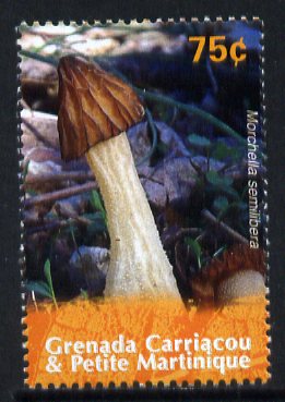 Grenada - Grenadines 2007 Morchella semilibera 75c from Fungi of the World set unmounted mint, SG 3892, stamps on fungi