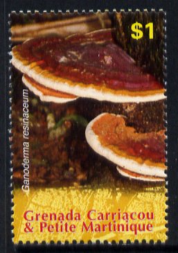 Grenada - Grenadines 2007 Ganoderma resinaceum $1 from Fungi of the World set unmounted mint, SG 3893, stamps on , stamps on  stamps on fungi