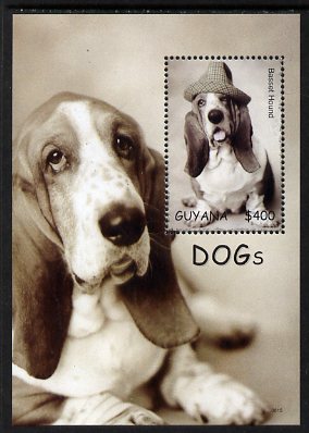 Guyana 2007 Dogs perf m/sheet (Bassett Hound wearing hat) unmounted mint, SG MS6625, stamps on , stamps on  stamps on dogs, stamps on  stamps on bassett hound