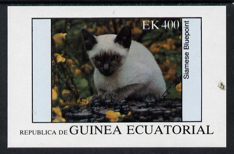 Equatorial Guinea 1976 Cats 400ek imperf m/sheet unmounted mint, stamps on animals   cats