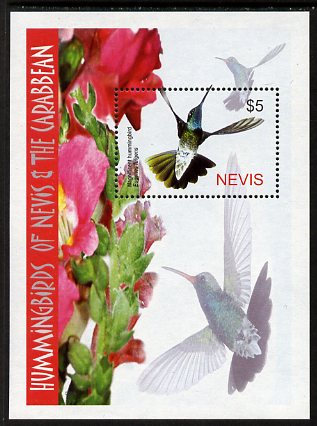 Nevis 2005 Hummingbirds perf m/sheet (Rivoli's 'Magnificent' hummingbird) unmounted mint, SG MS1878, stamps on , stamps on  stamps on birds, stamps on  stamps on humming birds, stamps on  stamps on hummingbirds