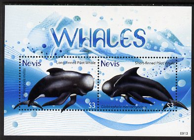 Nevis 2009 Whales perf m/sheet of 2 (Long-finned & Short-finned Pilot Whales), unmounted mint, stamps on , stamps on  stamps on marine life, stamps on  stamps on whales