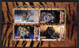 Congo 2010 Year of the Tiger imperf sheetlet containing 4 values unmounted mint, stamps on , stamps on  stamps on animals, stamps on  stamps on cats, stamps on  stamps on tigers