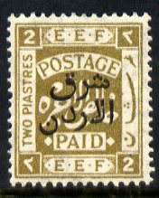 Jordan 1925 East of the Jordan opt on Palestine 2pi olive mounted mint SG 153