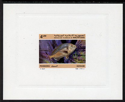 Mauritania 1986 Red Seabream 4um imperf deluxe sheet in issued colours on glazed sunken card unmounted mint Michel 899, as SG874, stamps on , stamps on  stamps on fish