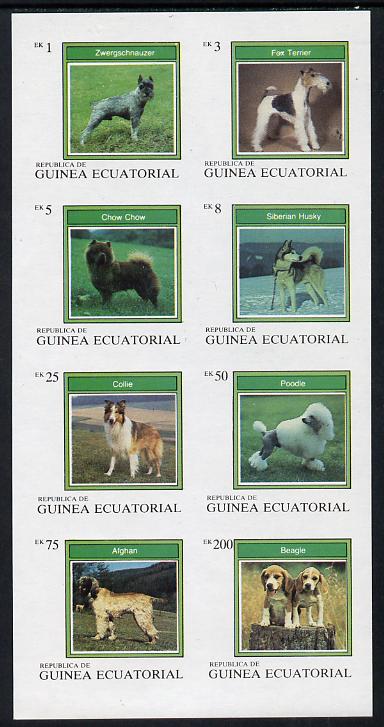 Equatorial Guinea 1977 Dogs imperf set of 8 unmounted mint (Mi 1129-36B) , stamps on , stamps on  stamps on animals    dogs     fox-terrier    chow    husky    collie    poodle   afghan    beagle   zwergschnauzer