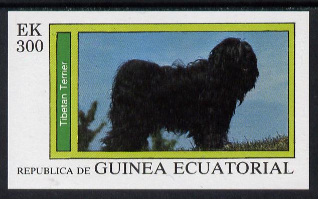 Equatorial Guinea 1977 Dogs (Tibetan Terrier) 300ek imperf m/sheet unmounted mint, stamps on animals    dogs   tibet-terrier